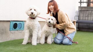 初めてのペットホテル、不安な方へ｜COCOROの考え方